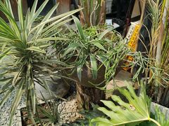 -云里小坐·小院里·团建·宴请·下午茶(三圣乡店)