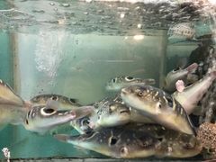 -苏州人家(锦溪镇店)
