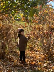 -奈斯霏儿童摄影