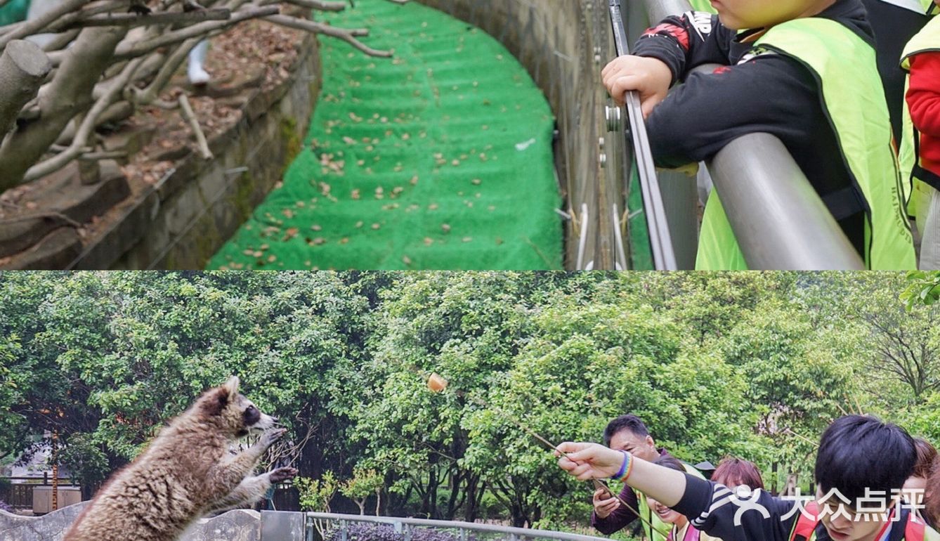 人生第一次 春游大作战