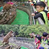 人生第一次 春游大作战