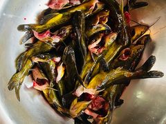 -肖肖酸萝卜鱼火锅(总店)