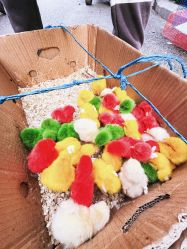 -大连市妇女儿童医疗中心(希望广场儿童院区)