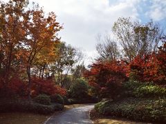 -东平国家森林公园
