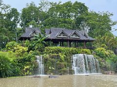 -中国科学院西双版纳热带植物园