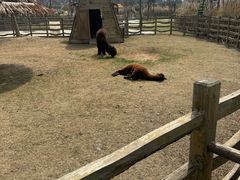 -祥源·阜阳生态乐园