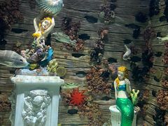 -上海海昌海洋公园