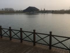-盐城丹顶鹤湿地生态旅游区