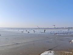 -老虎石海上公园