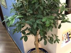 -精德口腔·种植修复·儿牙中心(财富中心店)