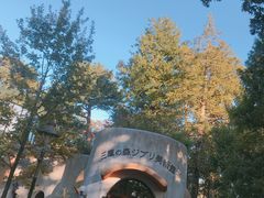 -三鹰之森吉卜力美术馆