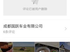 -成都国跃车业有限公司