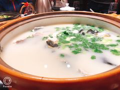 -姜君·千岛湖鱼头馆(浦东大道店)