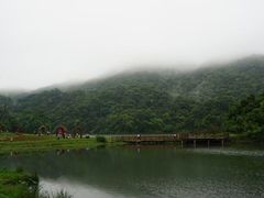 -广州市石门国家森林公园