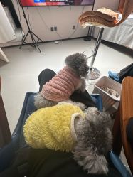 -一个差评成就的纹眉店