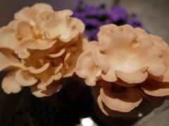 -隐食餐厅(金水湾公馆店)