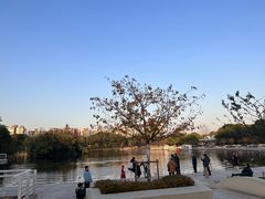 -新江湾城公园