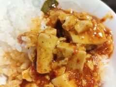 -陈麻婆豆腐总店