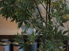 -阿嬷手作(南宁百盛印象城店)