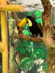 -Zoolung Zoolung动物主题公园(海信广场店)