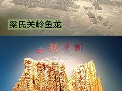 -贵州省地质博物馆