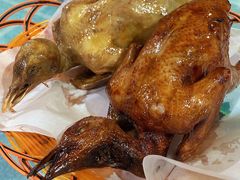 -石岐乳鸽村(桥观坊南四巷店)