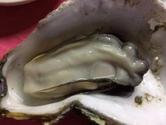 -邹记·美食(斗门店)