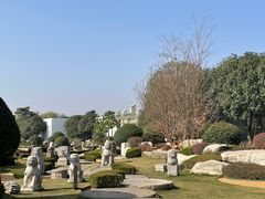 -中国唐苑