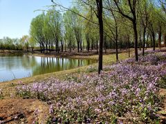 -东郊湿地公园