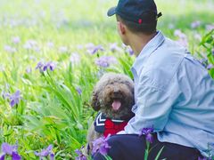 -白鹭湾湿地公园