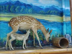 -北京鹿世界主题园