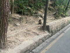 -黔灵山公园