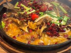 -老板恋上鱼(恒隆广场店)