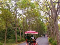 -渡海小渔村.老辈日照菜