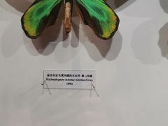-吉林省自然博物馆