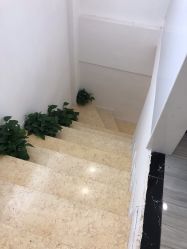 -蕾特恩专业祛痘·皮肤管理