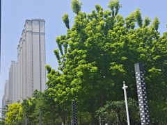 -世东国际