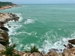 -广东惠东海龟国家级自然保护区