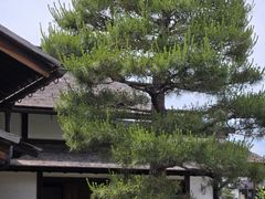 -高山阵屋