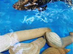 -四川小胡子海鲜(丁村万人海鲜广场店)