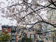 -星巴克(汇京国际广场店)