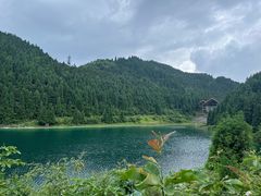 -武陵山森林公园