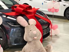 -TESLA 特斯拉(广州天环广场体验店)