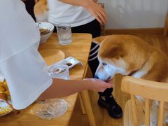 -柴の食堂·日式家庭料理·熊之肆(大学路店)