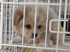 -捞小鲜虾滑海鲜自助火锅(嵊州吾悦店)