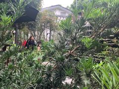 -凤来栖·净庭院·火锅(欧尚店)