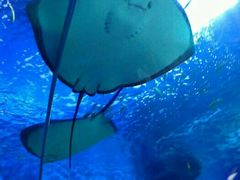 -多彩贵州城极地海洋世界