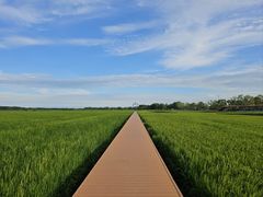 -黑龙江扎龙生态旅游区