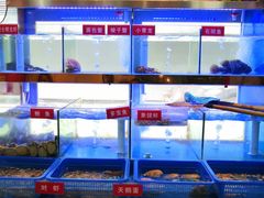 -小龍鳳·港式海鲜打边炉(沙湖路店)