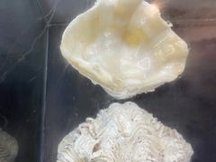 -贝壳梦幻世界